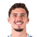 帕尼切利